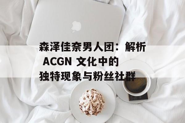 森泽佳奈男人团:解析 ACGN 文化中的独特现象与粉丝社群 森泽佳奈男人团:解析 ACGN 文化中的独特现象与粉丝社群